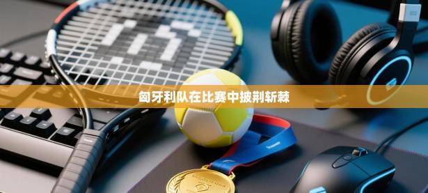 匈牙利队在比赛中披荆斩棘