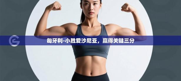 匈牙利-小胜爱沙尼亚，赢得关键三分